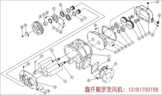 羅茨風(fēng)機(jī)工作組成部件